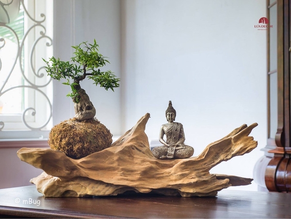 Tiểu Cảnh Thiền MN0198