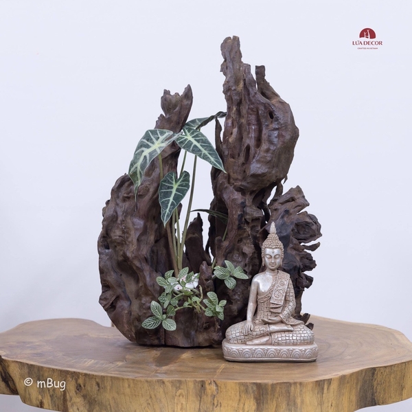 Tiểu Cảnh Thiền MN0137