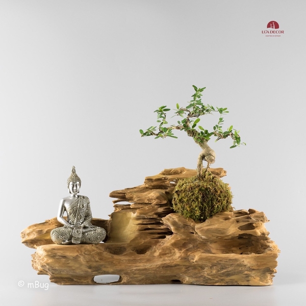 Tiểu Cảnh Thiền MN0102