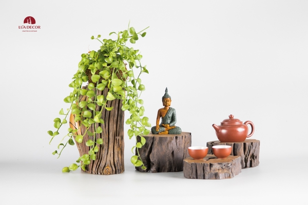 CÂY NGỌC RÊU KOKEDAMA CNR006