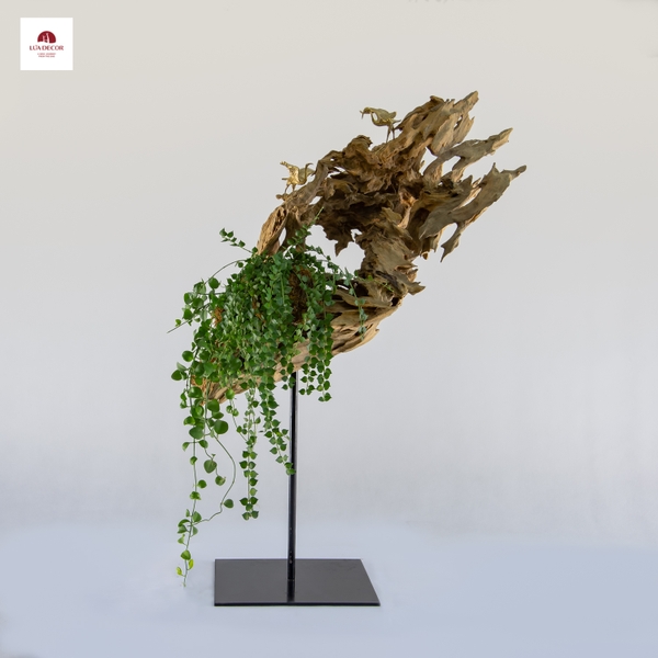 Tiểu Cảnh Thiền MN0026