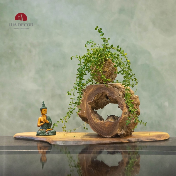 TIỂU CẢNH THIỀN MN0216