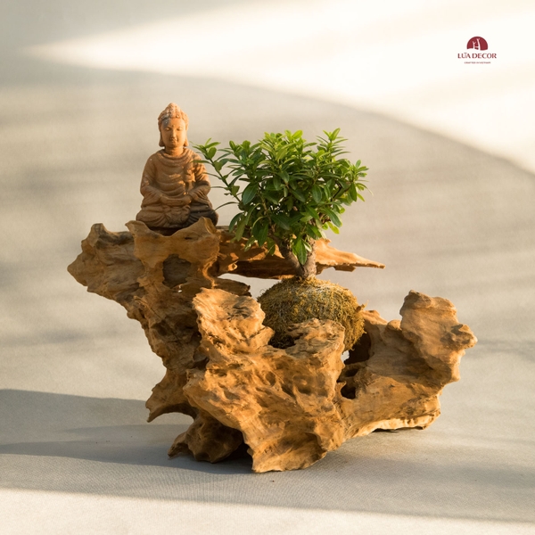Tiểu cảnh thiền MN0034