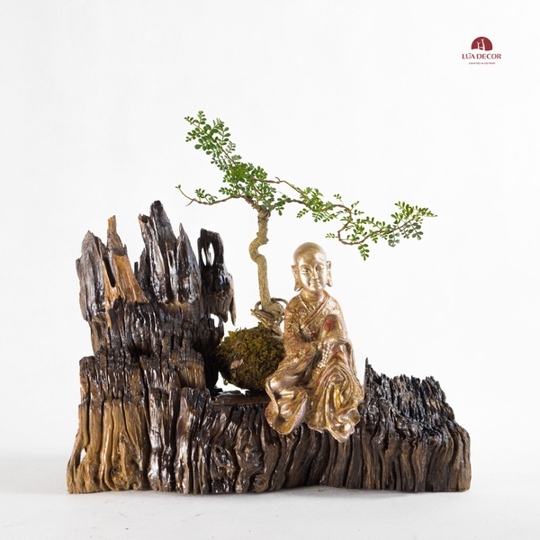 TIỂU CẢNH THIỀN MN0093