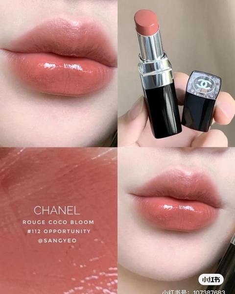 Chanel Merveille (124) Rouge Coco Bloom Lip Colour Dupes & Swatch  Comparisons