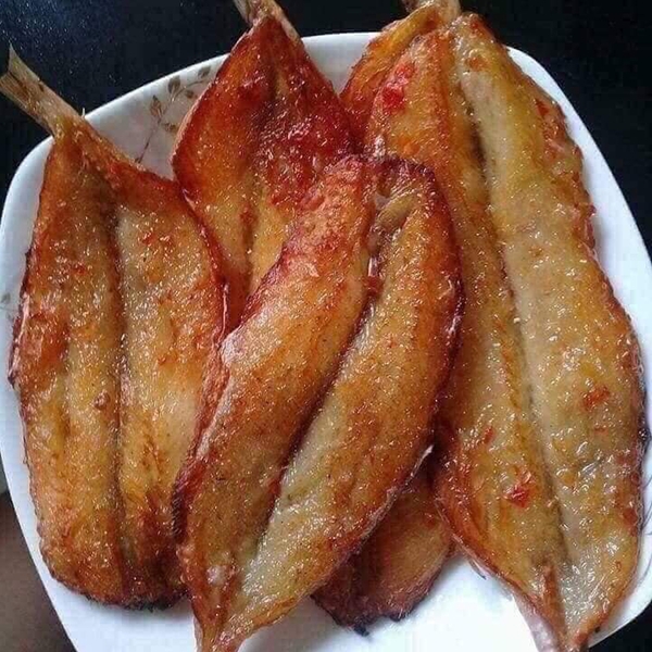 Cá Mối