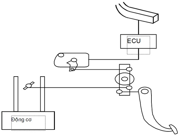 he-thong-ccs-dan-dong-bang-mo-to-buoc