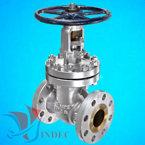 CS Gate Valve Ansi 300 Flanged End