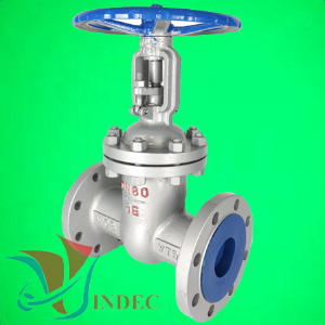 CS Gate Valve PN25 Flanged End