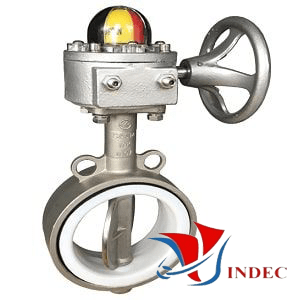 SS Gear Butterfly Valve 10K/PN16-JOEUN