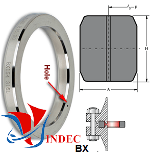 Style BX Ring Joint Gasket