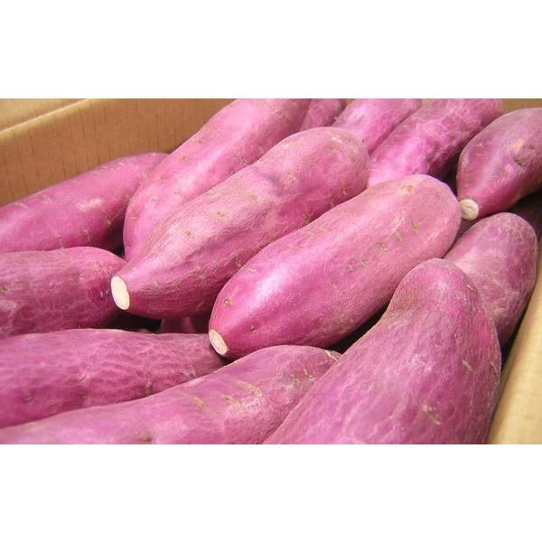Những đại Kỵ Khi ăn Khoai Lang Biết Ma Tranh Nếu Khong Muốn Mang Trọng Bệnh Sức Khỏe Bao điện Tử Tiền Phong