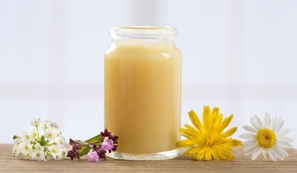 Lịch sử của sữa ong chúa