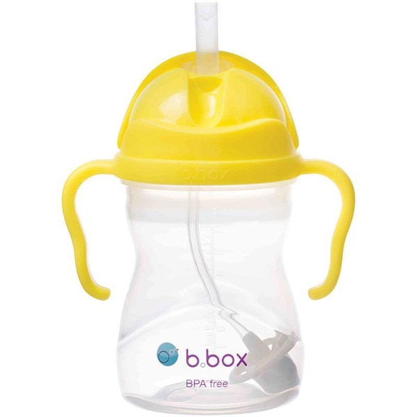 Bình tập uống nước cho bé trên 6 tháng B.Box Sippy Cup 240ml