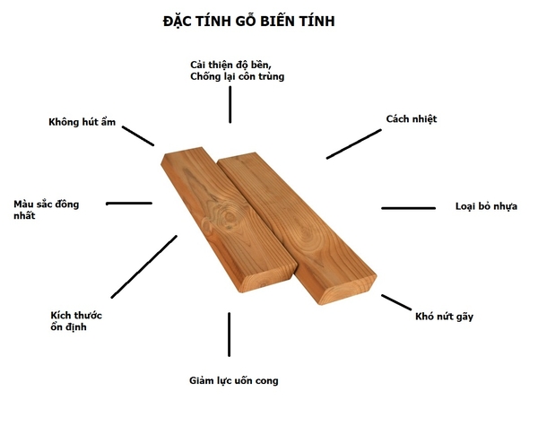 9 ĐẶC TÍNH CỦA THERMO WOOD - GỖ BIẾN TÍNH NHIỆT - GỖ NUNG WINGFOR