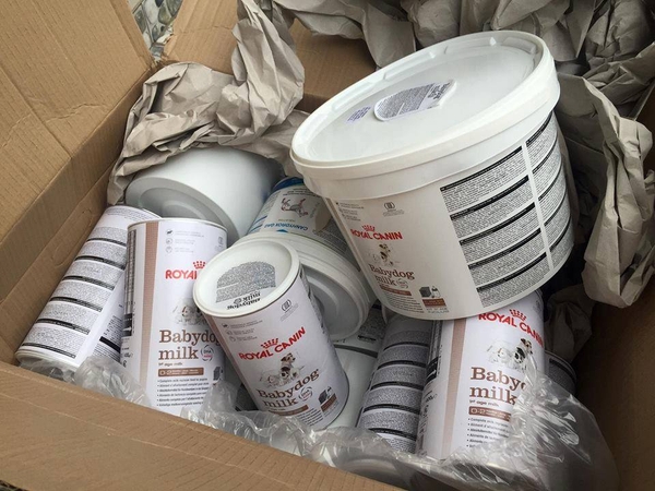 Babydog Milk Powder Royal Canin Milk Sữa Bột Dành Cho Chó Con Sơ