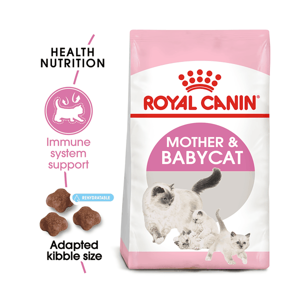 Chó Mèo Royal Canin Second Age Kitten 4kg Thức ăn Hạt Cho Mèo Mẹ