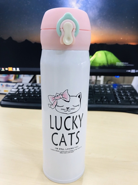 Bình nước giữ nhiệt 500ml 0080
