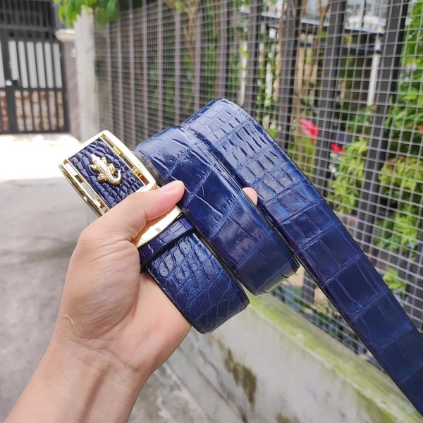 Thắt lưng cá sấu Xanh navy rất đẹp. Bản liền tấm da bụng 4cm!