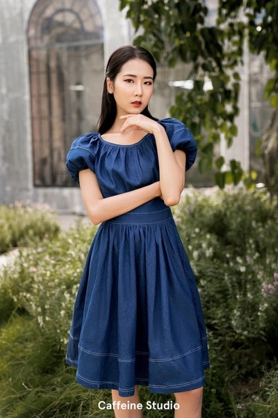 Julia denim dress