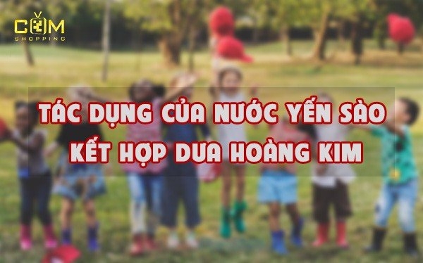 Tác dụng nước Yến sào dưa hoàng kim