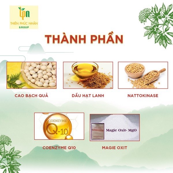 thành phần chính có trong viên uống hoạt huyết dưỡng não