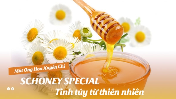 mật ong hoa xuyến chi schoney special