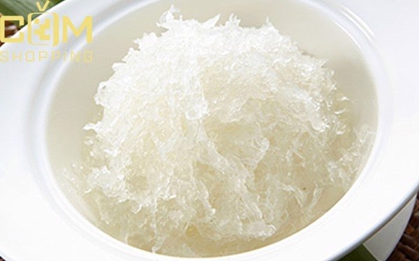 Hình ảnh mẫu tổ yến tươi