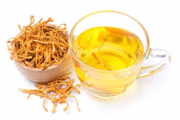 trà đông trùng hạ thảo