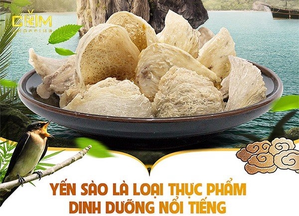 Món thực phẩm bổ sung sức khỏe nổi tiếng