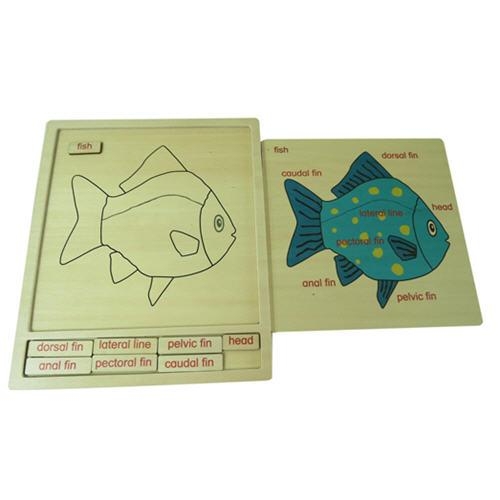 Colored animal puzzle activity set - Fish Hakyco Montessori Materials Colored animal puzzle activity set - Fish Hakyco Montessori Materials