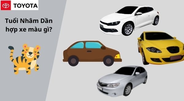 Tuổi dần mua xe màu gì? Tuổi nhâm dần mua xe màu gì?