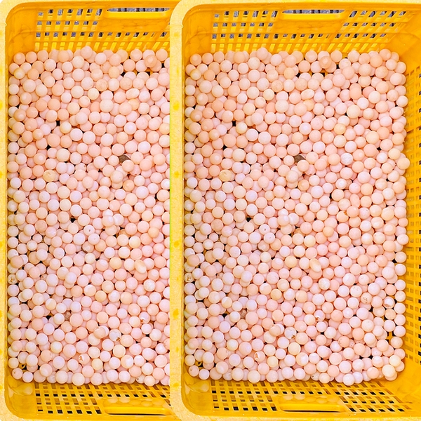 Trứng BaBa