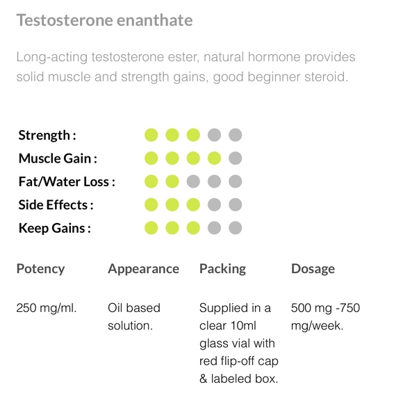 Pharma Test E250 (Testosterone Enanthate 250mg)