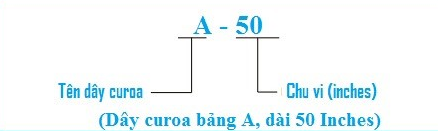 Cách đọc thông số dây curoa