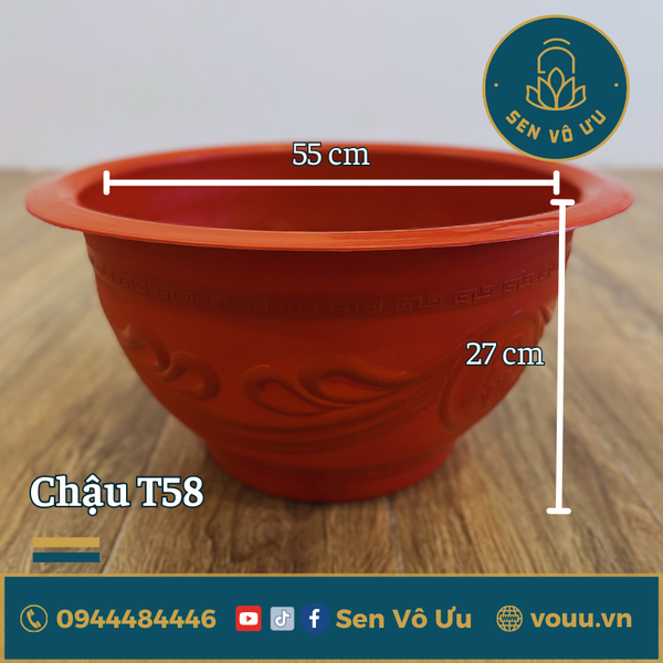 Chậu nhựa T58 kín đáy trồng sen