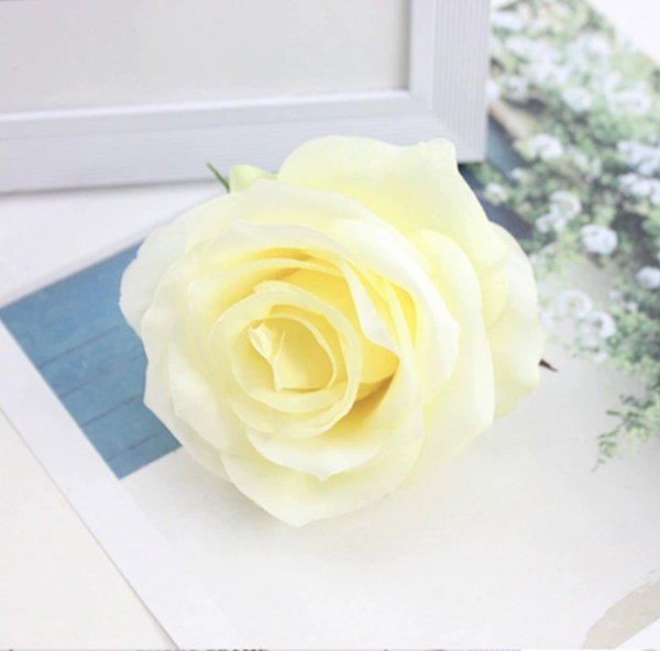 Hoa hồng-trắng vàng.