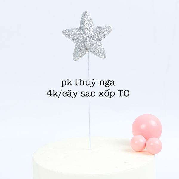 CAM-Cây sao xốp - bạc  E116