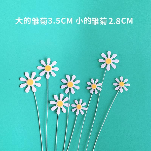 Set 8 mica hoa cúc-màu TRẮNG.