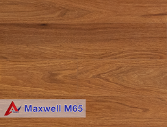 maxwell-m65-2
