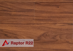 raptor-r22