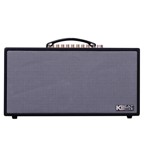 Loa xách tay Acnos CS450Alpha