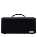 Loa xách tay Acnos KS363H