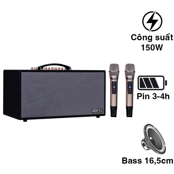 Loa xách tay ACNOS HN450