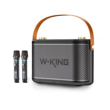 Loa Karaoke Xách Tay Bluetooth W-king H10