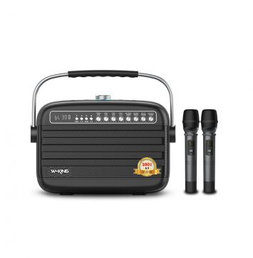 Loa Karaoke Xách Tay Bluetooth W-king K9