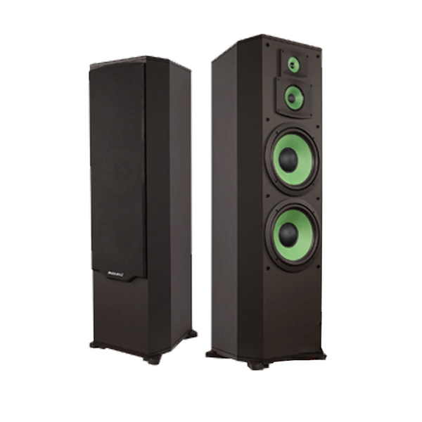 Loa Paramax F2000