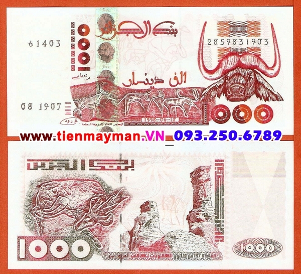 Tiền giấy Algeria 1000 Dinar 1998 UNC