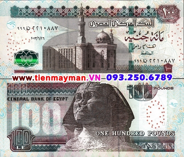 Tiền giấy Ai Cập 100 Pound 2013 UNC