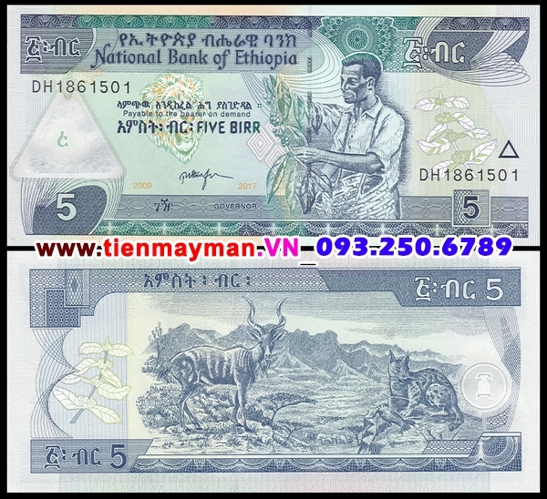 Tiền giấy Ethiopia 5 Birr 2006 UNC